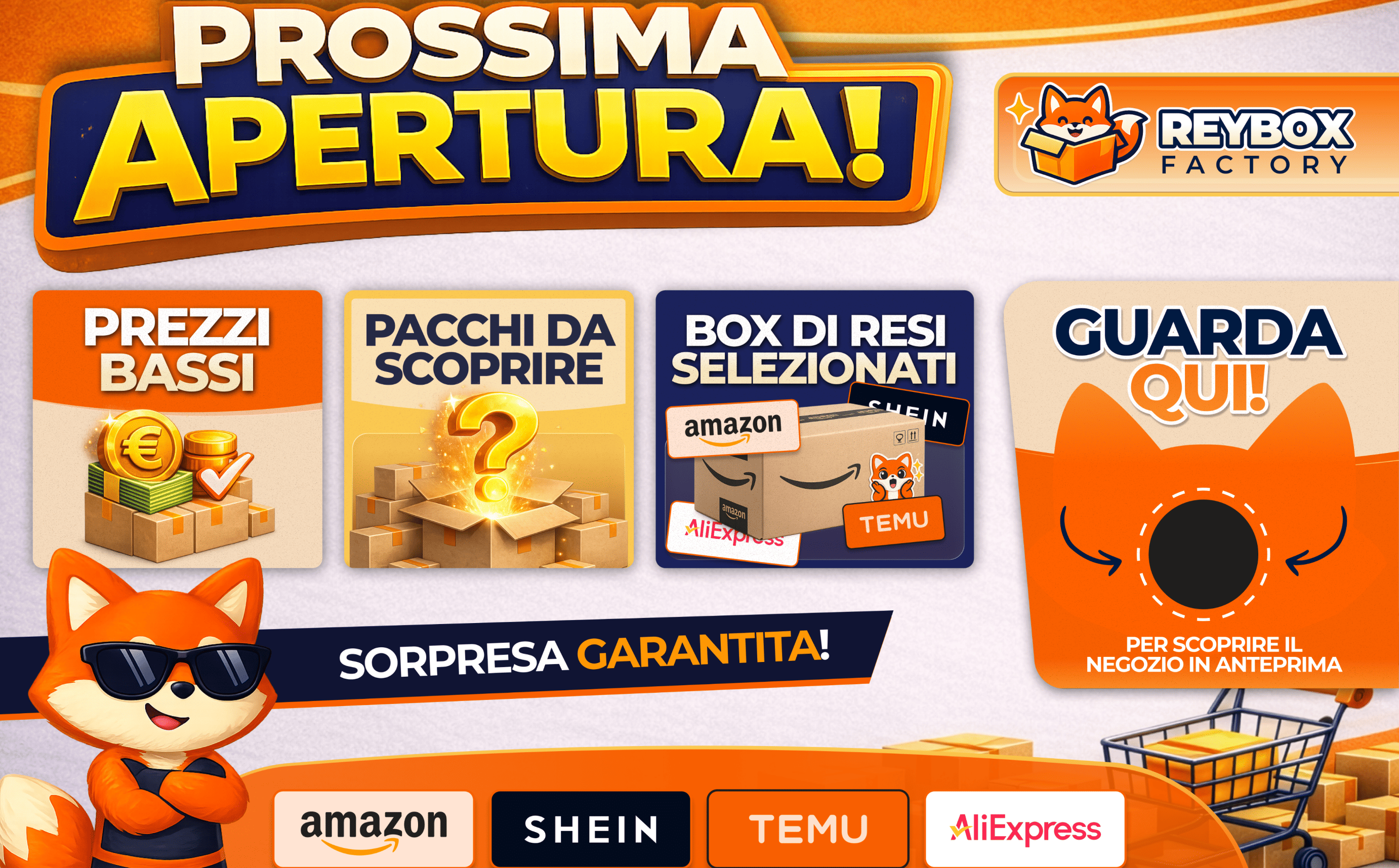 Raybox Factory, campagna di apertura